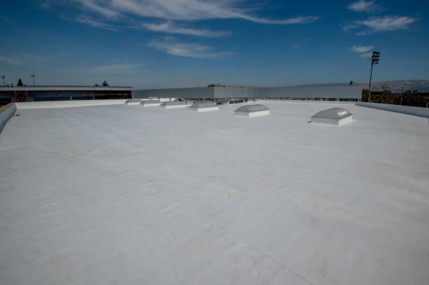 Best Roof Coating and Sealing  in Hammond, LA